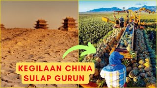 KRISIS PANGAN! PROSES BERAT CHINA MERUBAH GURUN JADI LAHAN PERTANIAN MODERN