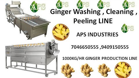 Ginger Washing Machine , Ginger Washing, Cutting ,Drying Production Line