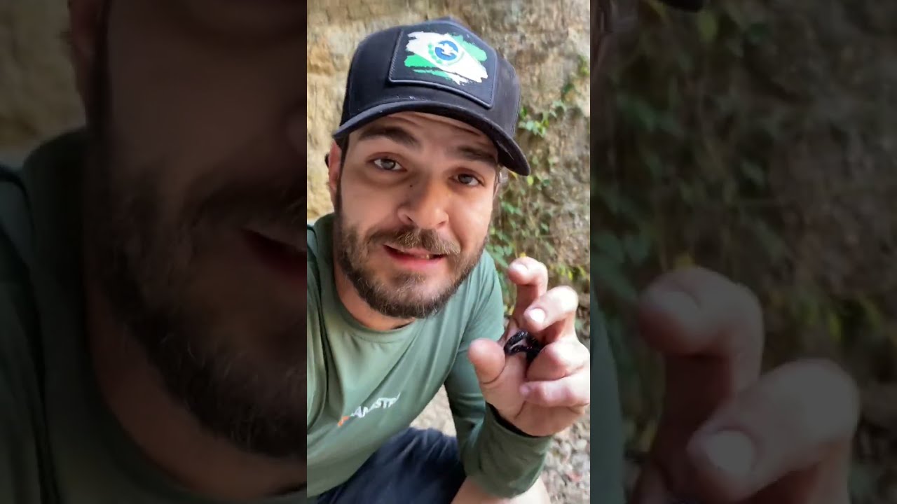 DUAS VERSÕES de CHORIPANS que fiz no MEIO DO MATO. RÁPIDO, BARATO e GOSTOSO 🔥 