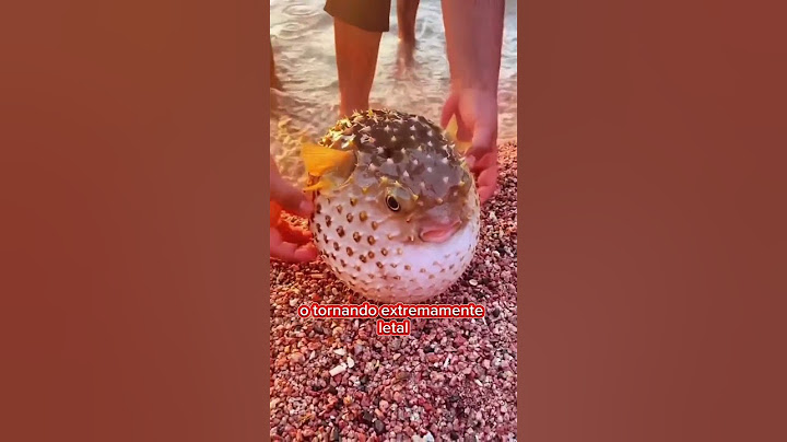 os animais mais mortais do mar! (baiacu) #yearofyou #curiosidades #mar #oceano #baiacu #mortal