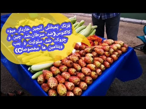 تصویری: عملکرد خارهای کاکتوس چیست