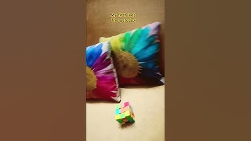 my first loop #loop #trending #loopvideos #shorts #gameover #viral