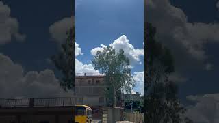 Dev Bhoomi Uttarakhand University devbhoomiuttarakhand devbhoomi college collegelife