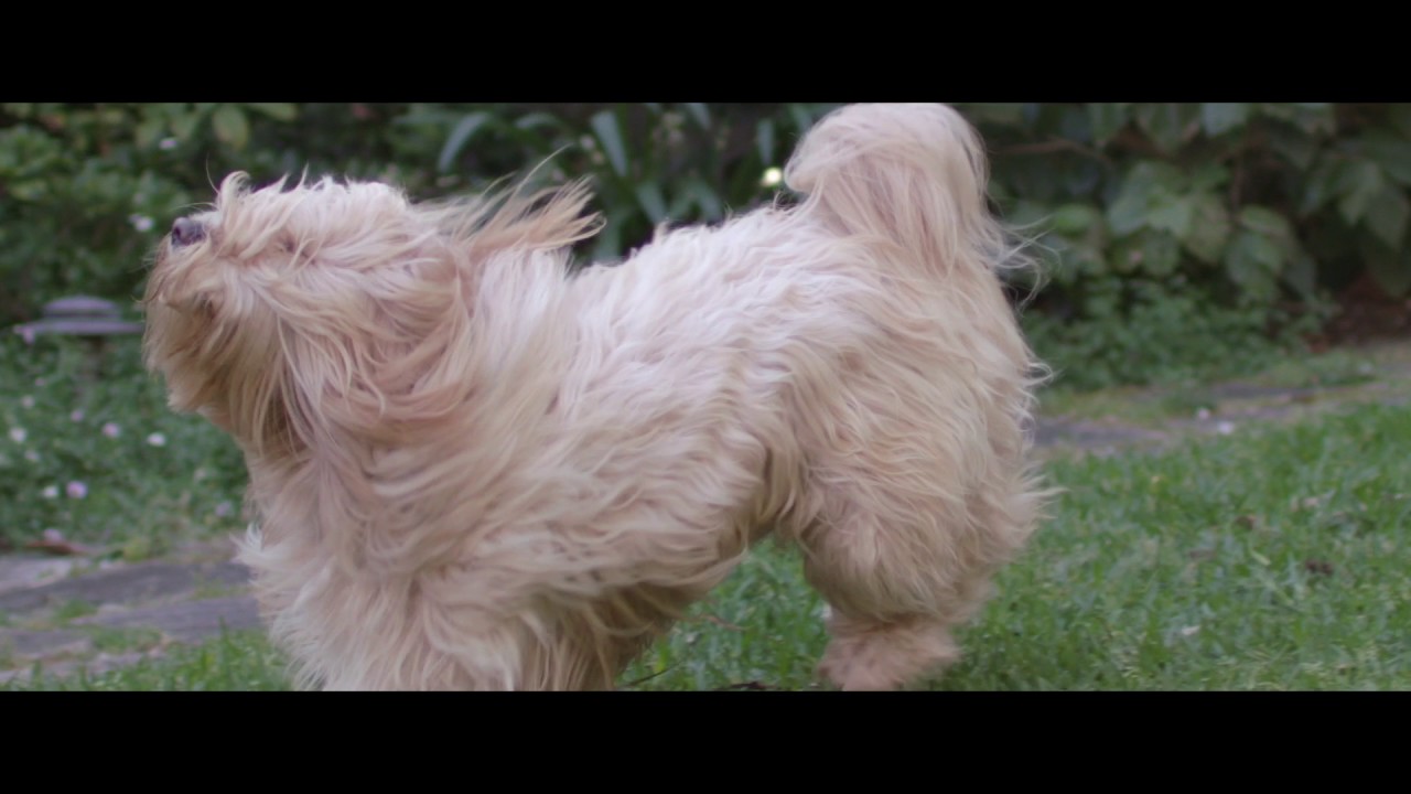 Black Hawk Philosophy