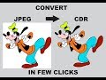 Convert JPEG to CDR IN FEW CLICKS AND SECONDS
