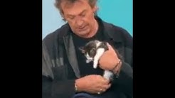 12 Coups de Midi Le Chaton de Jean Luc Reichmann sauvé par la fille de jean Pierre Papin thumbnail