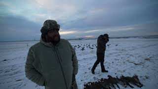 Final Goose Hunt of the 24-25 season in Colorado with Big Thompson Outfitters and the boys