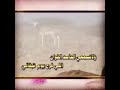 ما دام قلبك لنا ولهان
