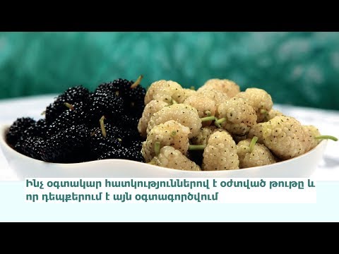 Video: Ինչու՞ է կարևոր թվային մուլտիմետրը: