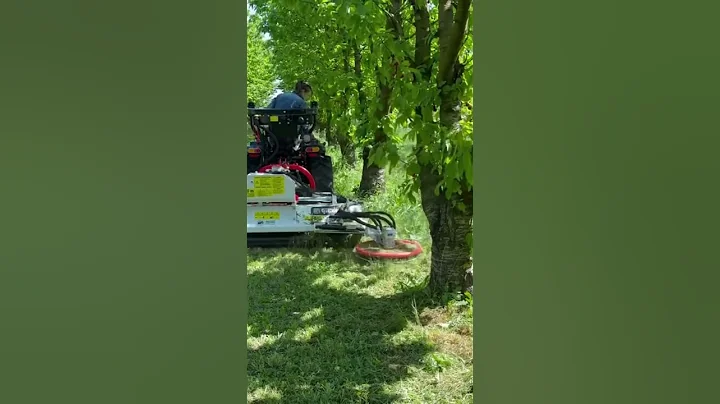 Trincia Giemme modello VFLU 125 con disco interfilare