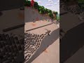 Dark Forest | Terraforming Part 3