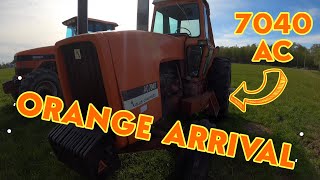 ORANGE Arrival: ALLIS-CHALMERS 7040 shows up