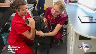 TTU SVM CARES Veterinary Mobile Unit