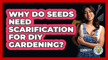 Why Do Seeds Need Scarification For DIY Gardening? - LearnToDIY360.com