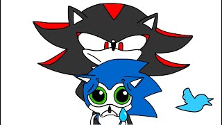 Shadow Hates Sonic?