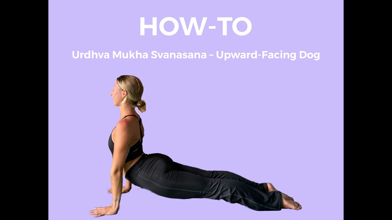 660+ Urdhva Mukha Svanasana Beautiful Yoga Woman Practice Yoga