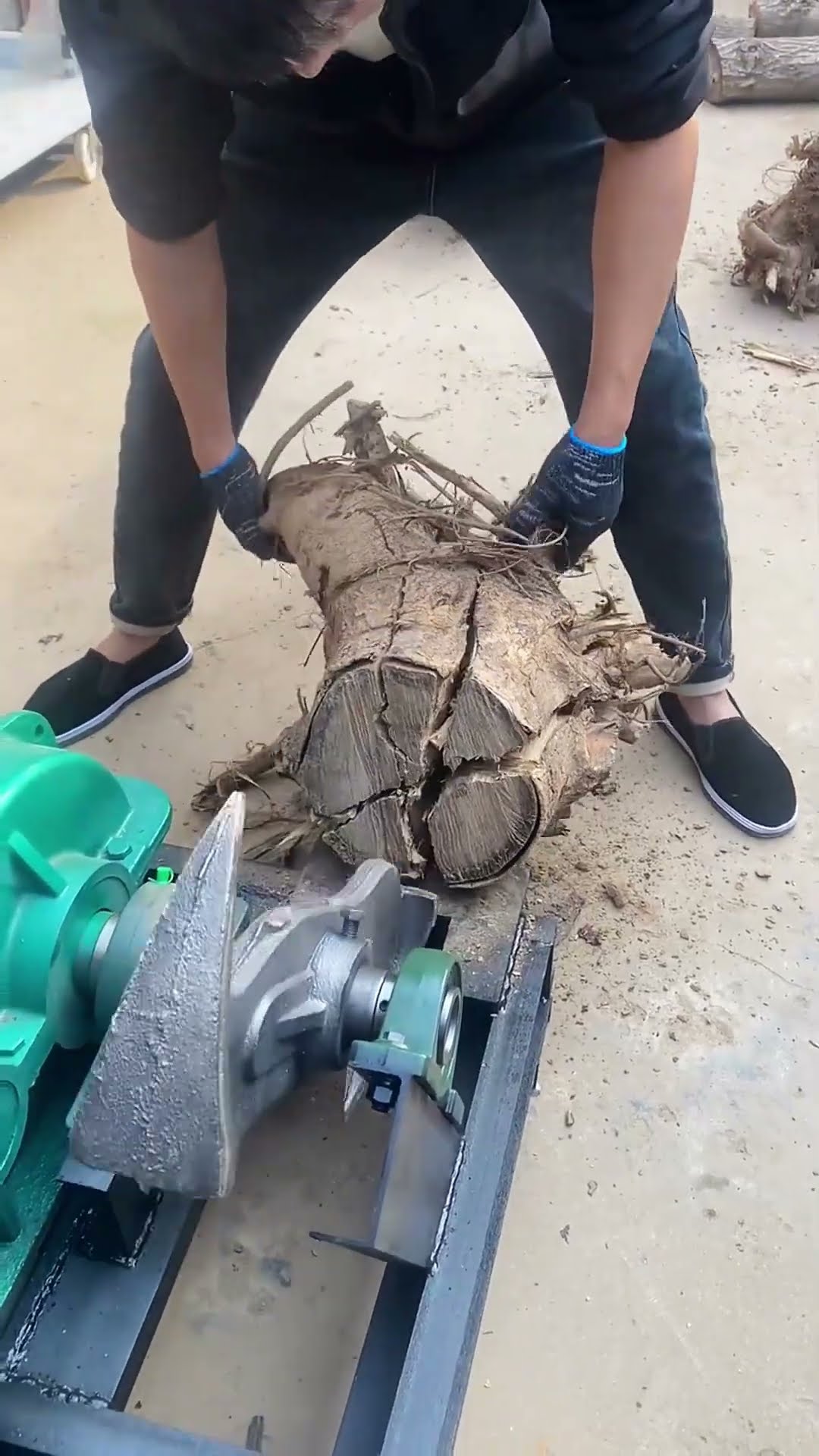 Stump chopping for warmth- Good tools and machinery make work easy