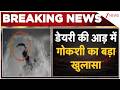 Breaking News: डेयरी की आड़ में गोकशी का बड़ा खुलासा