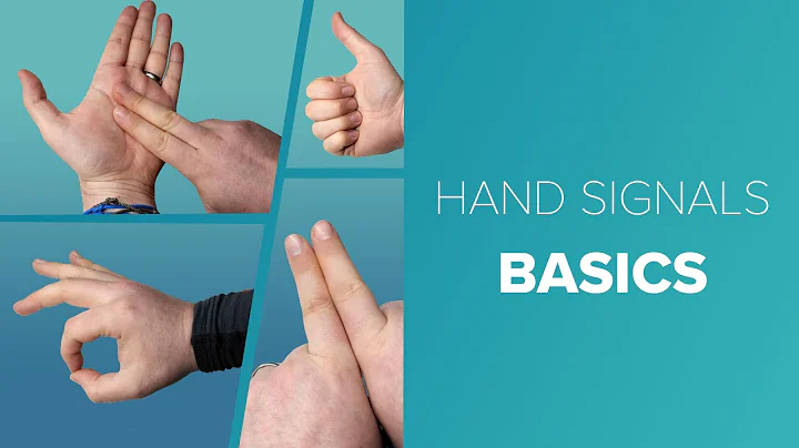 Basic Scuba Hand Signals | Dive Brief | @simplyscuba