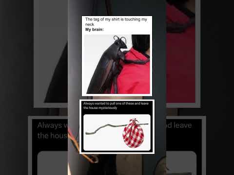 The Tag Of My Shirt Is Touching My Neck 