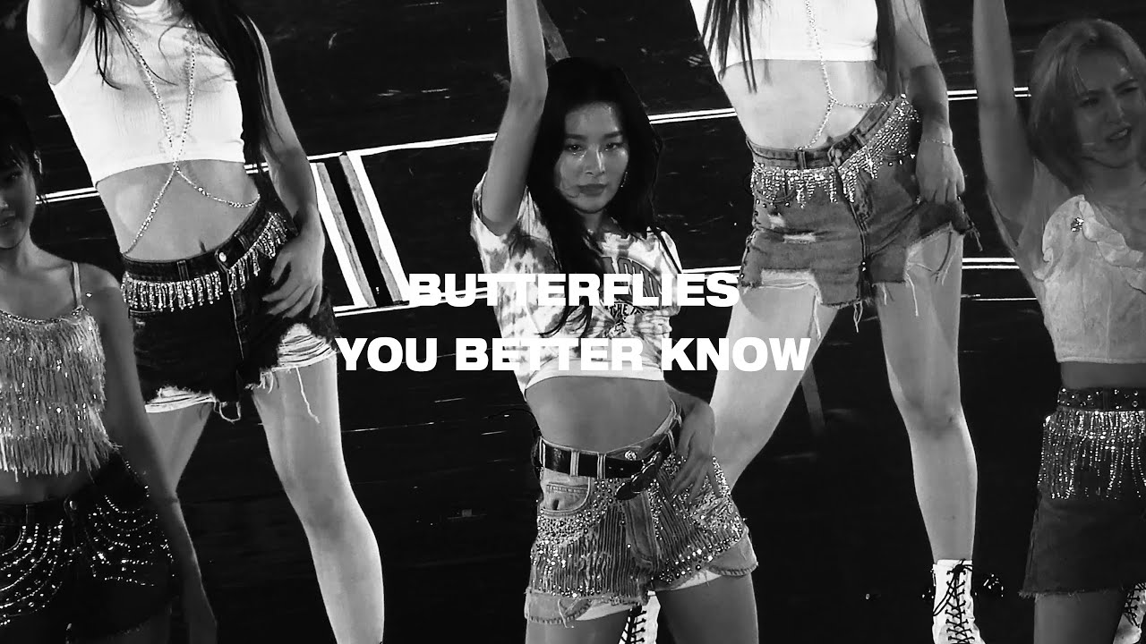 191123 슬기 SEULGI // La Rouge Concert - Butterflies & You Better Know 직캠 4k fancam