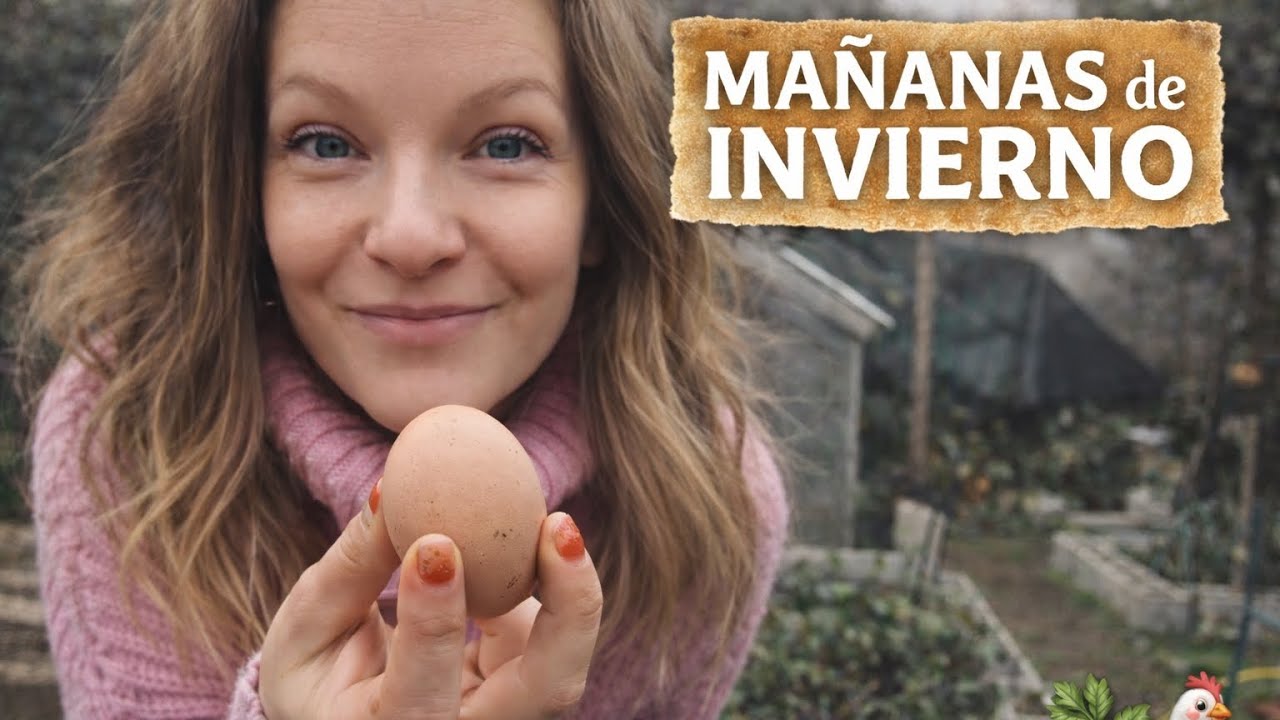 Vida Sencilla I Gallinas y Huerto en invierno