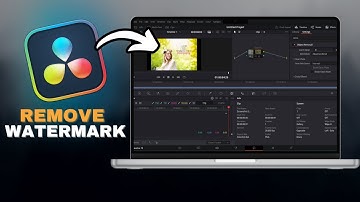 How To REMOVE WATERMARKS In Davinci Resolve (Studio) in SECONDS!