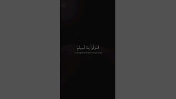 ولو شئنا لاتينا كل نفس هداها سورة السجدة عبد الرحمن مسعد