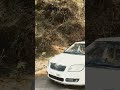 पापा जी क्यों आए आज ☺️❤️♥️ #riyasharma__45 #minivlog