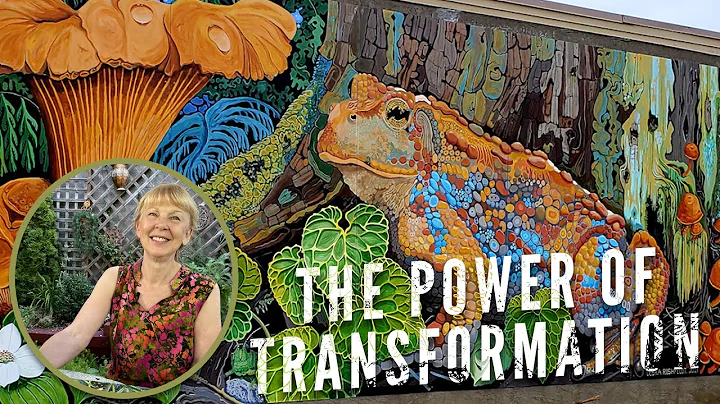 The Power of Transformation