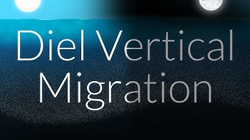 Diel Vertical Migration | Nautilus Live