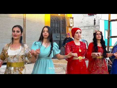 FERHAT GÜZEL - MAMXURAN AŞİRETİ  ERSİN TEKİN'İN NİŞAN GÜNÜ 2023 SEGAWİ TEKİN VİDEO PRODUCTİON