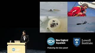 The Power of Storytelling to Protect the Ocean with Sruthi Gurudev