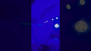 remix bass cover dj rap shortsfeed