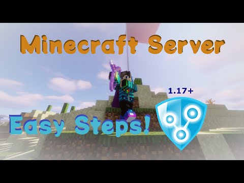 Setting up a Minecraft 1.17.1 Server | Easy Steps