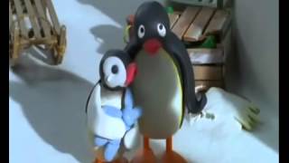 Pingu X Pinga Sweet Love