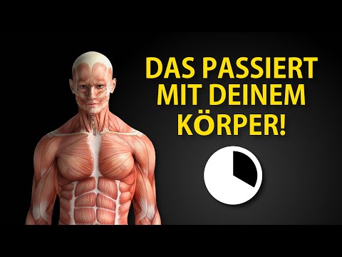 Intervallfasten: Das passiert