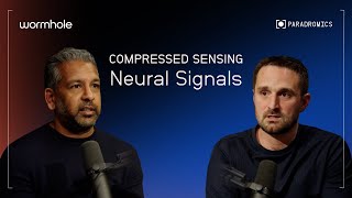 Compressive Sensing Explained: How to extract relevant information from neural signals