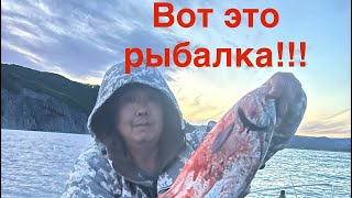 :   ,  !