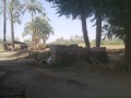 عدينى يا معداوى عباس البليدى YouTube عدينى يا معداوى عباس البليدى YouTube