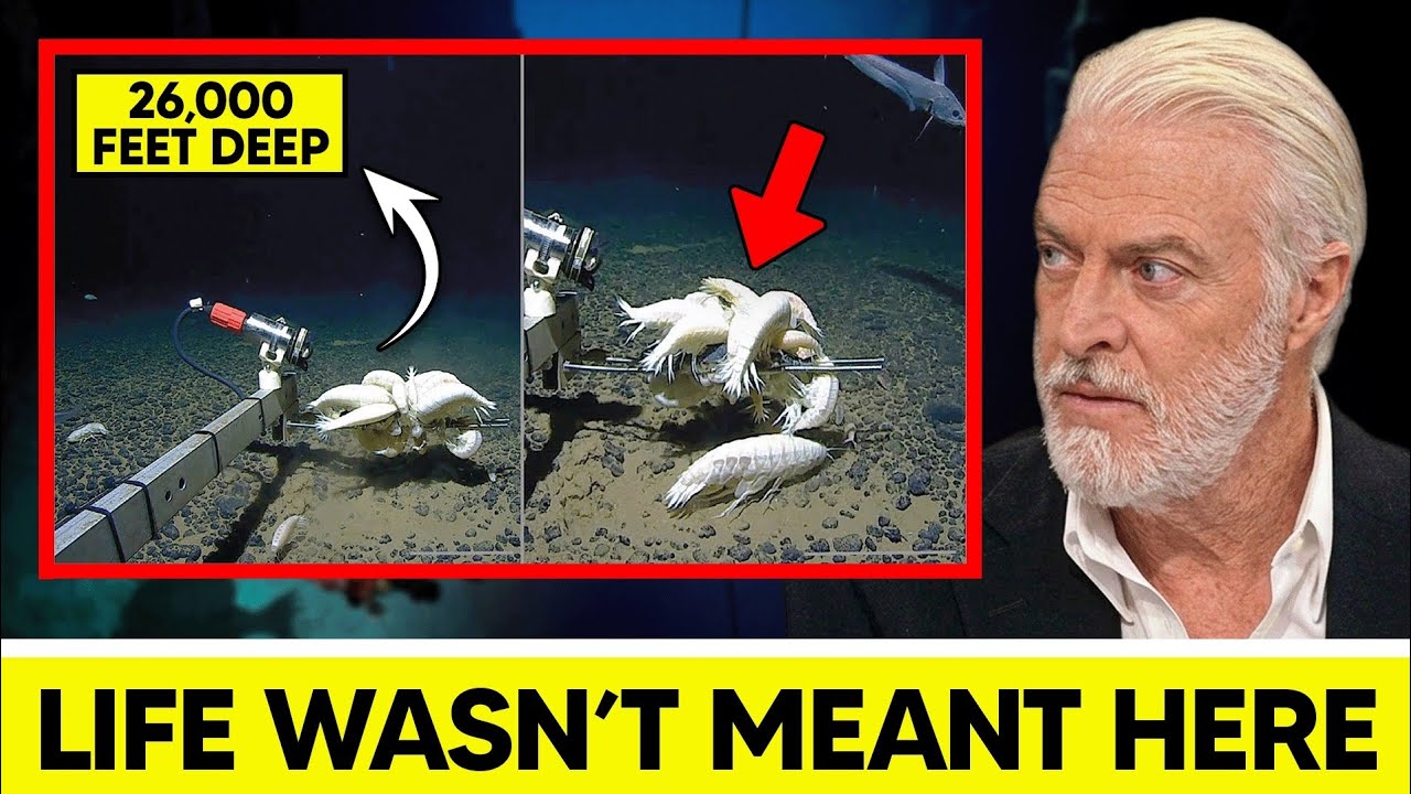 What Scientists Just Filmed at the Bottom of the Ocean Defies ...