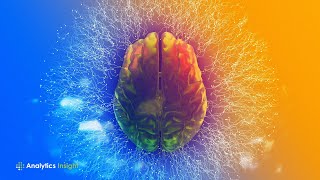 Top 5 Applications of Decision Intelligence in Business Wealth