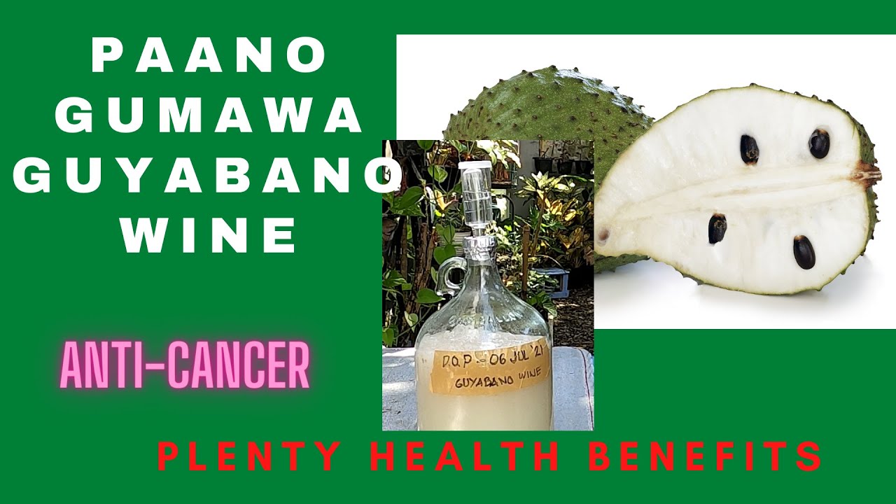Unlock the Steps in Making a Delicious Guyabano Wine Tagalog