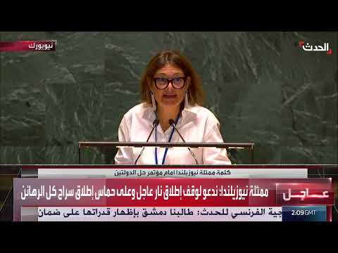 دعوات دولية لوقف إطلاق النار في غزة وحل الدولتين