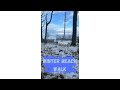 Winter beach walk