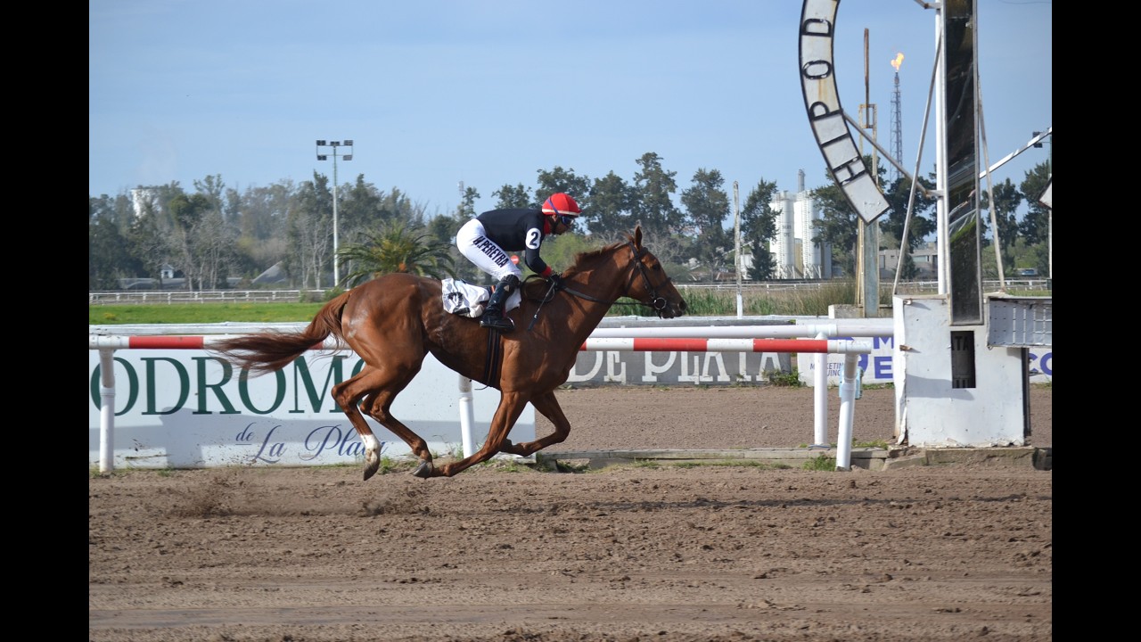 Personal Filly, indiscutida número 1 entre las potrancas en La Plata, ganó el Selección