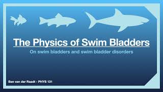 The Physics of Swim Bladders and Swim Bladder Disorders