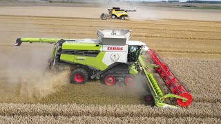 42 METER HARVEST in the same field | LEXION 8900 & CR 10.90 | FRANCE 2021