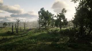 Rdr2 ambient music 17 Bluewater Marsh
