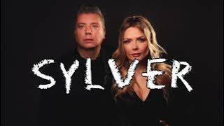 THE BEST OF SYLVER-ARTIST MIX